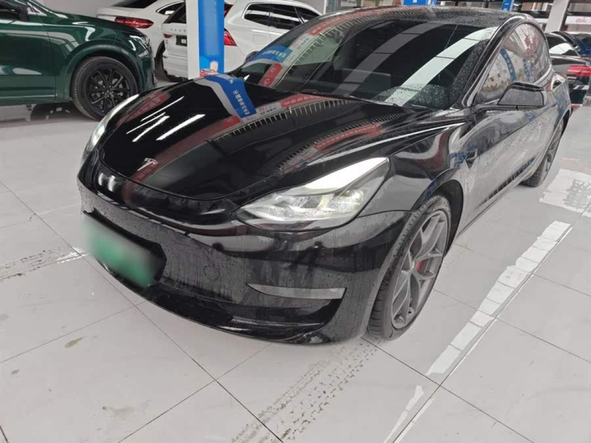 特斯拉 Model 3  2021款 改款 Performance高性能全輪驅(qū)動版圖片