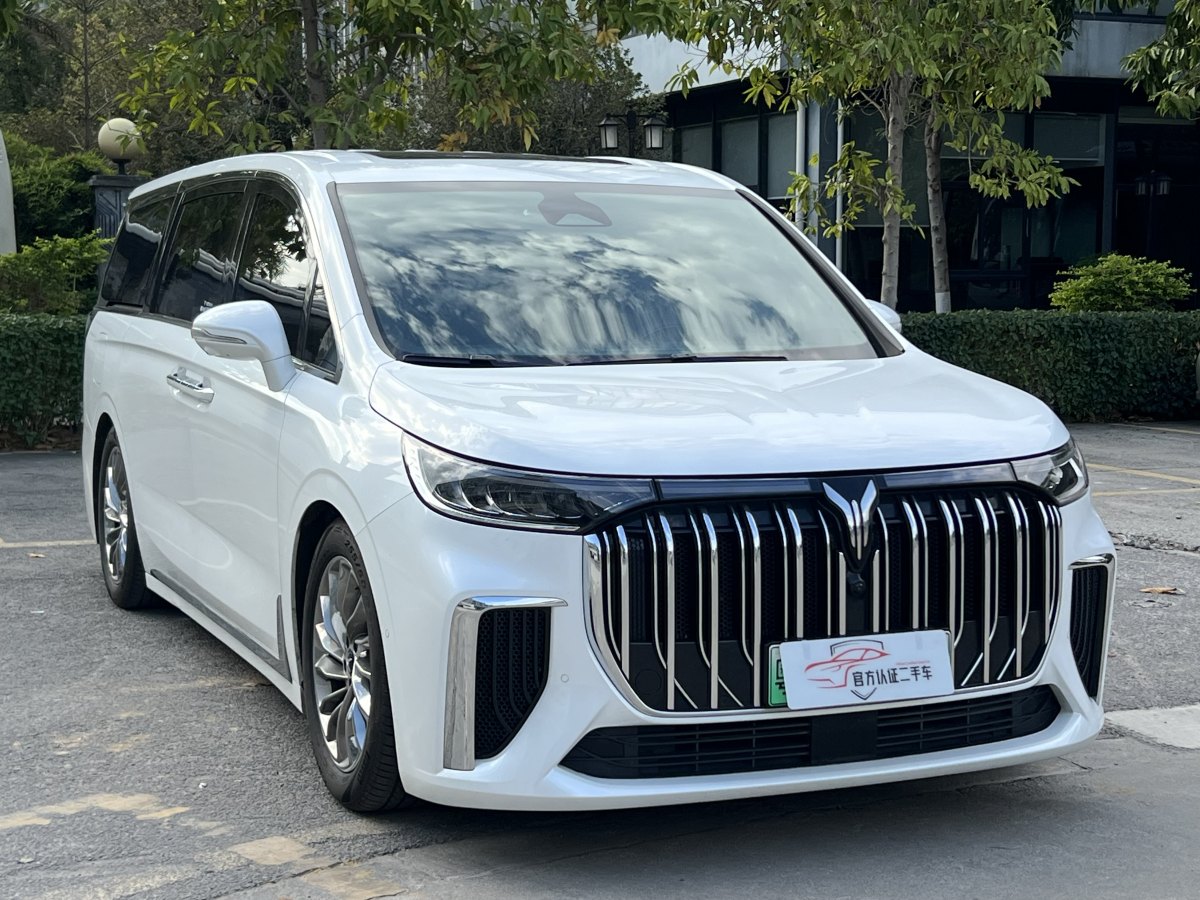 嵐圖 夢想家  2024款 PHEV 超長續(xù)航旗艦版圖片