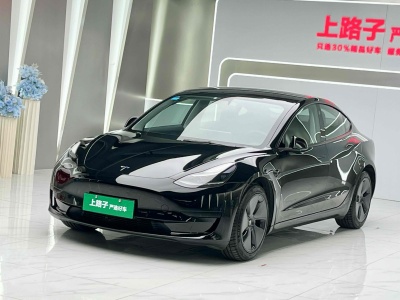 2022年1月 特斯拉 Model 3 標(biāo)準(zhǔn)續(xù)航后驅(qū)升級(jí)版 3D6圖片