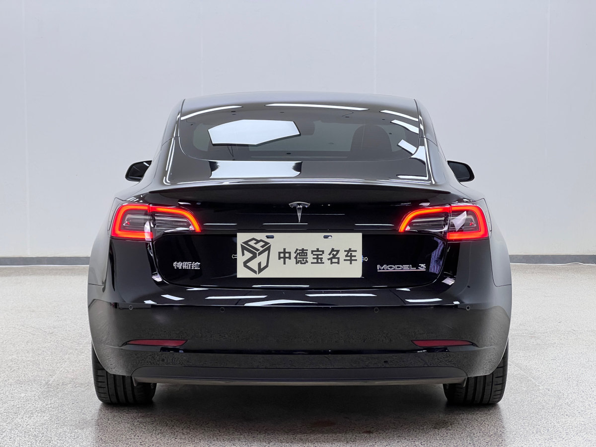 2021年2月特斯拉 Model 3  2019款 Performance高性能全輪驅(qū)動(dòng)版