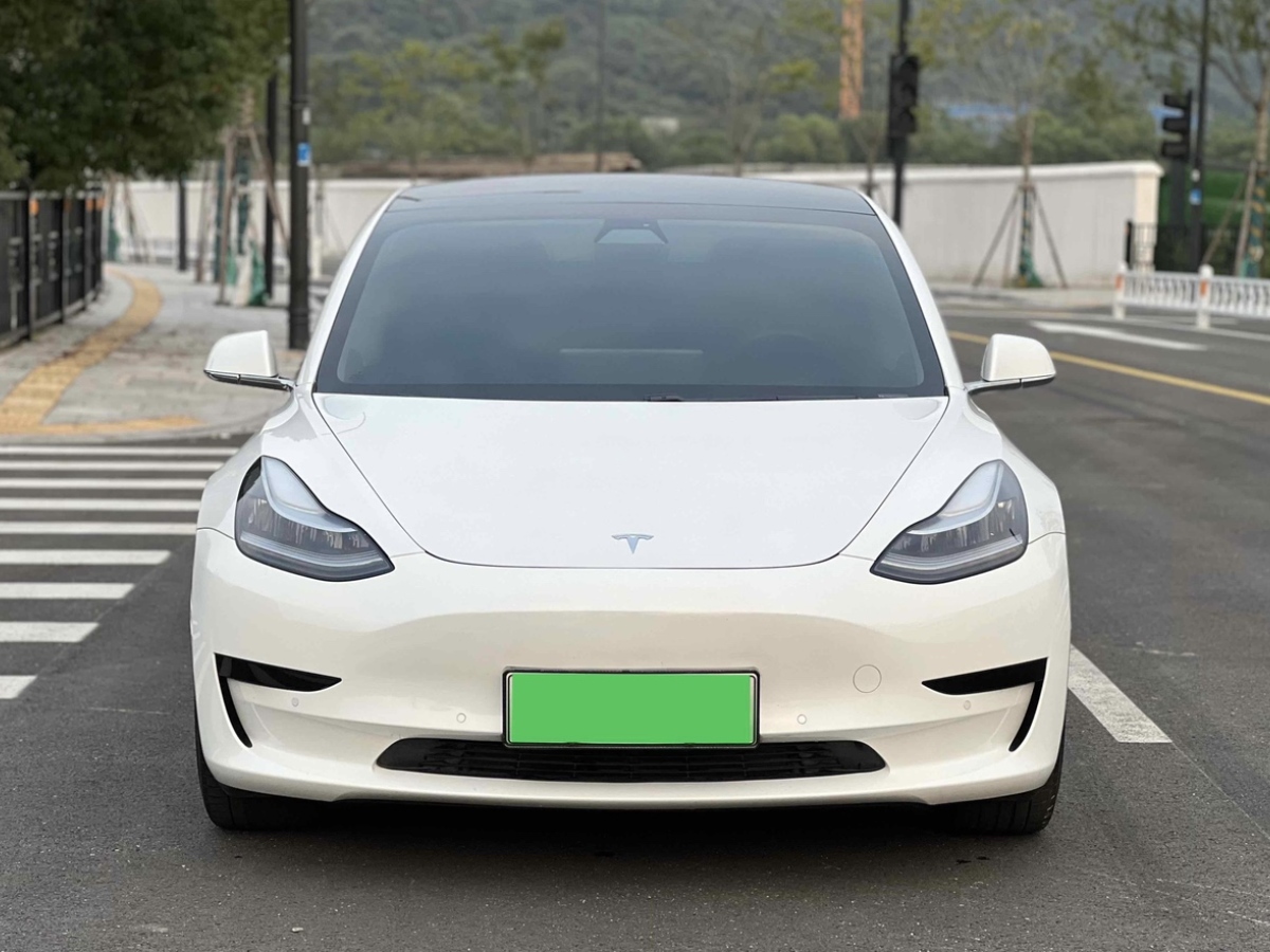 特斯拉 Model Y  2020款 標(biāo)準(zhǔn)續(xù)航后驅(qū)升級(jí)版圖片