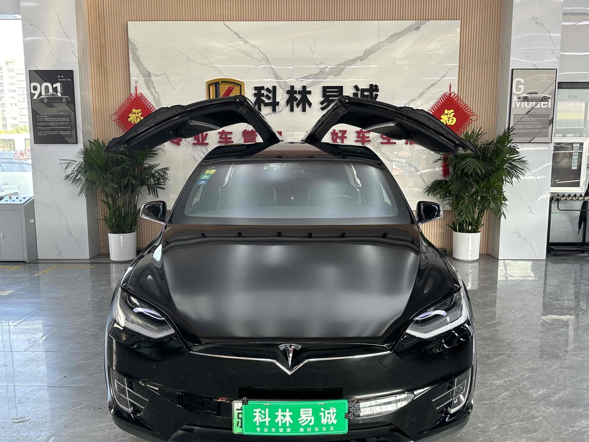 特斯拉 Model X  2016款 Model X 75D圖片