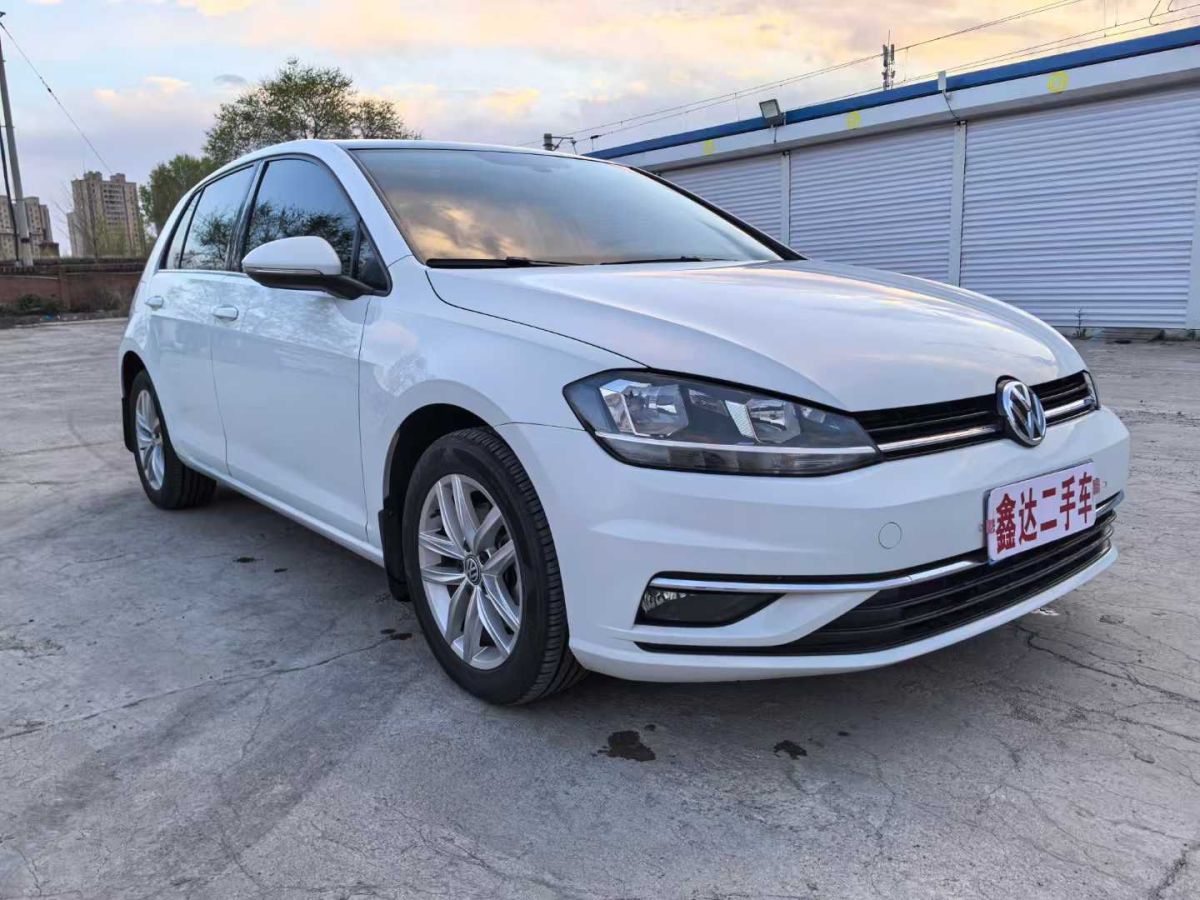大眾 高爾夫  2019款 1.6L 自動(dòng)時(shí)尚型圖片