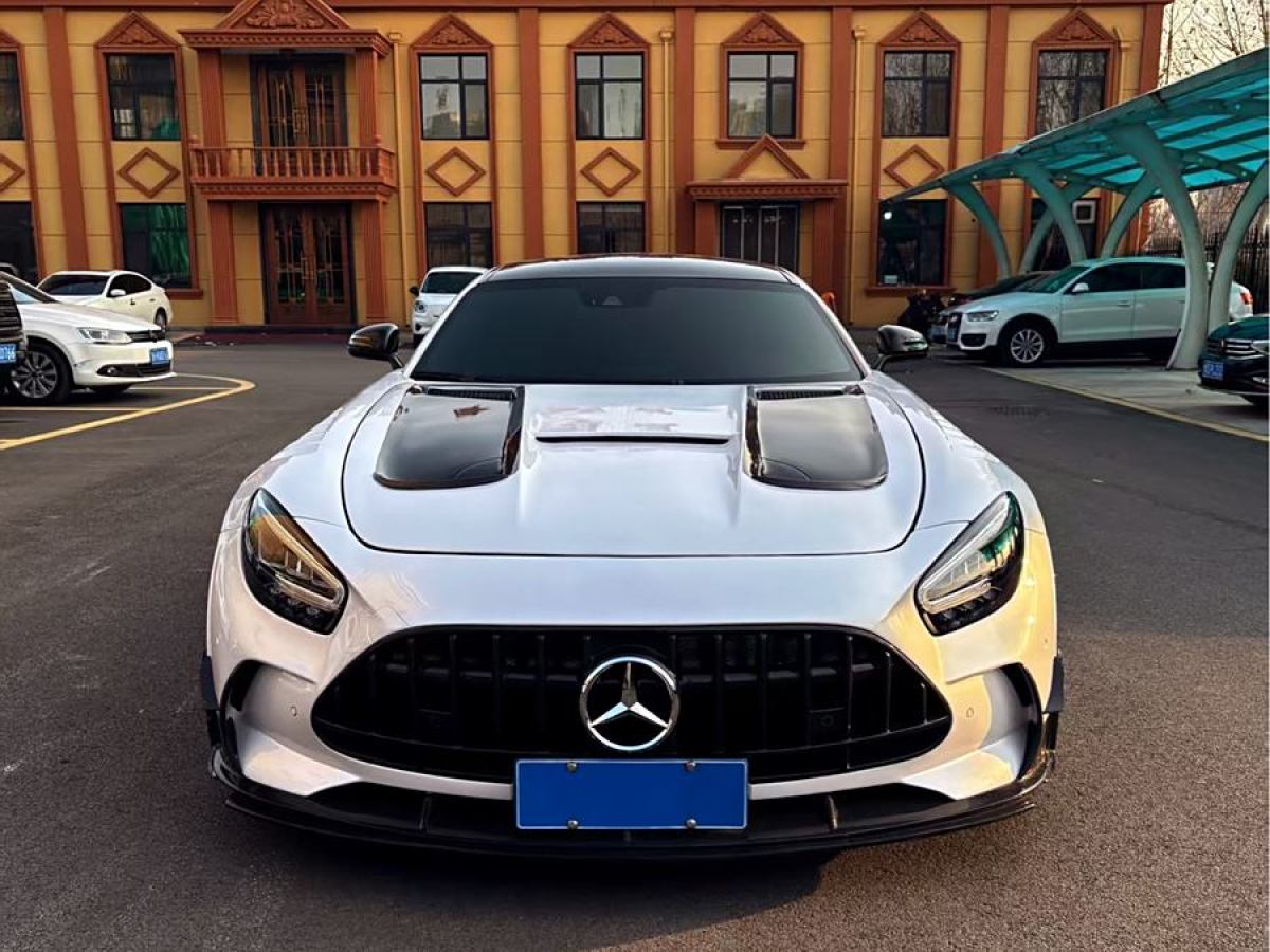 奔馳 奔馳AMG GT  2019款 AMG GT圖片