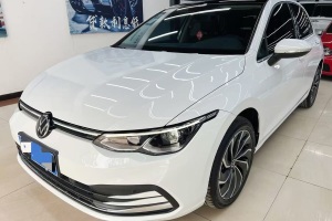 高爾夫 大眾 280TSI DSG 30周年紀念版