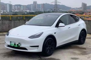 Model Y 特斯拉 Performance高性能版