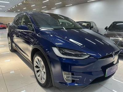 2019年4月 特斯拉 Model X 長(zhǎng)續(xù)航版圖片