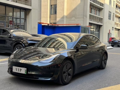 2021年10月 特斯拉 Model 3 標(biāo)準(zhǔn)續(xù)航后驅(qū)升級(jí)版 3D6圖片