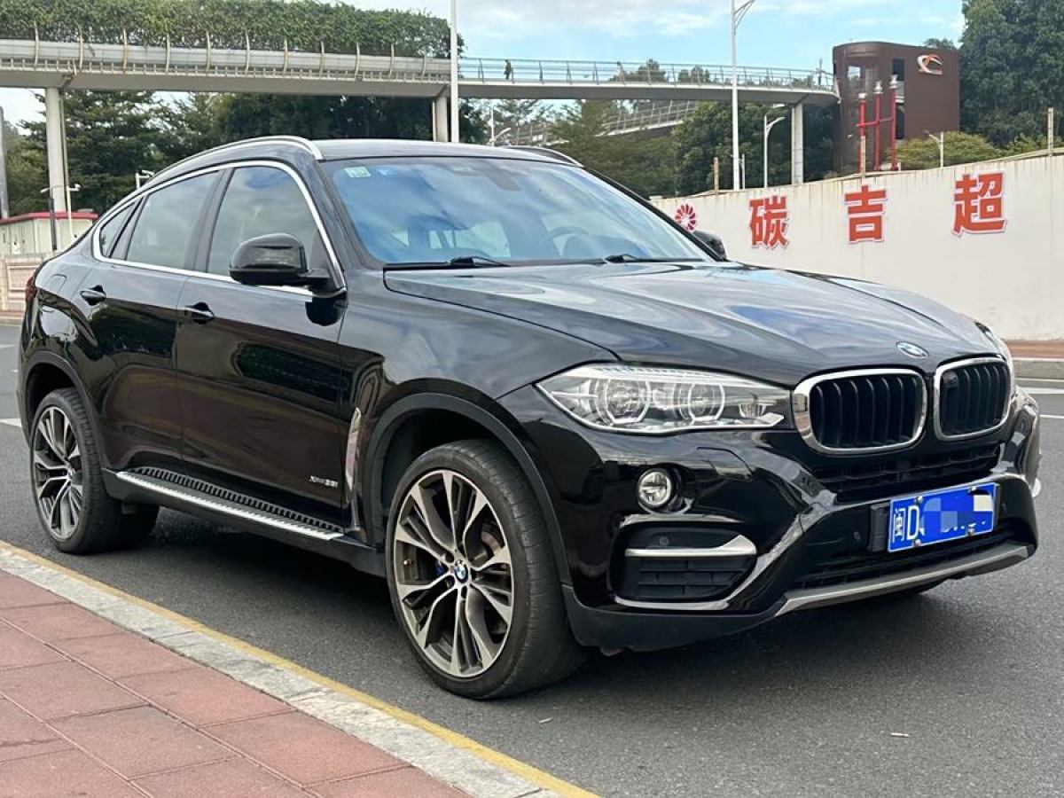 寶馬 寶馬X6  2018款 xDrive35i 領(lǐng)先型圖片