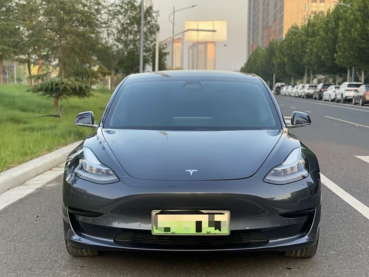 特斯拉 Model 3  2020款 改款 標準續(xù)航后驅升級版圖片