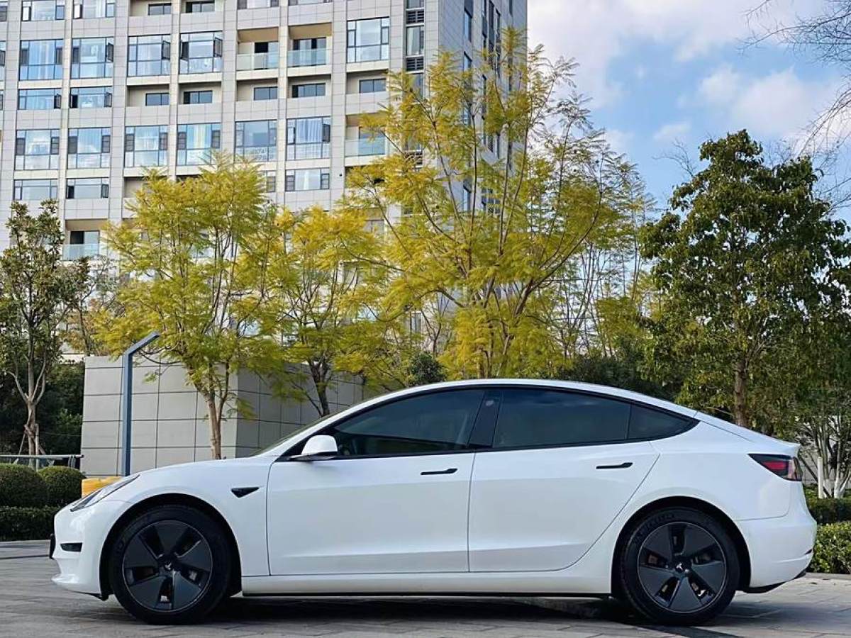 特斯拉 Model 3  2021款 改款 標(biāo)準(zhǔn)續(xù)航后驅(qū)升級版圖片