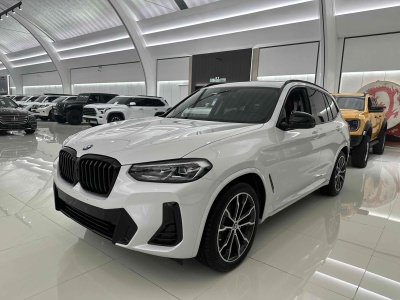 2022年6月 寶馬 寶馬X3 xDrive30i 領(lǐng)先型 M曜夜套裝圖片