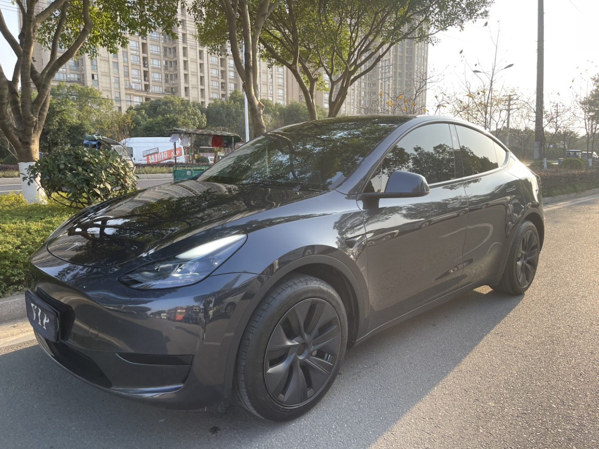 特斯拉 Model Y  2024款 后輪驅(qū)動版圖片