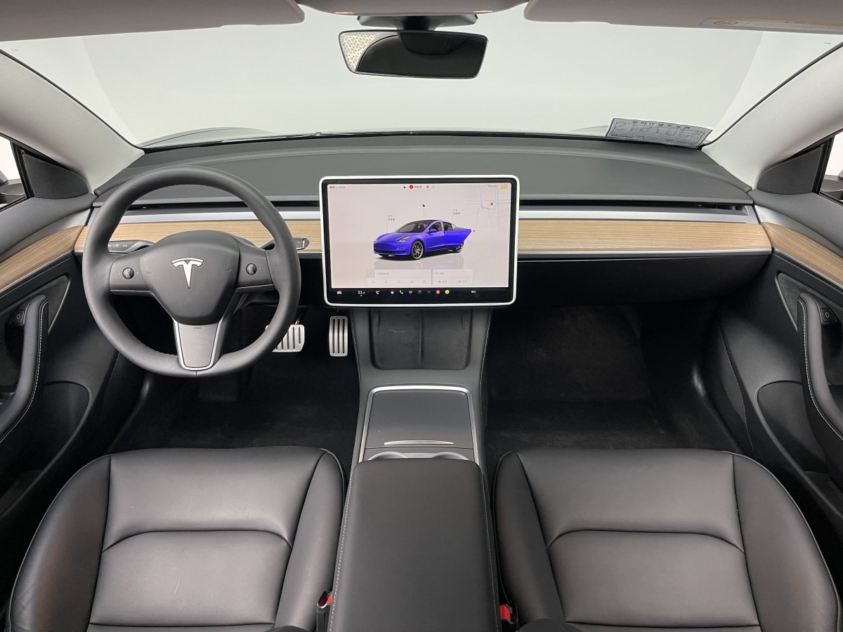 特斯拉 Model 3  2019款 Performance高性能全輪驅(qū)動(dòng)版圖片