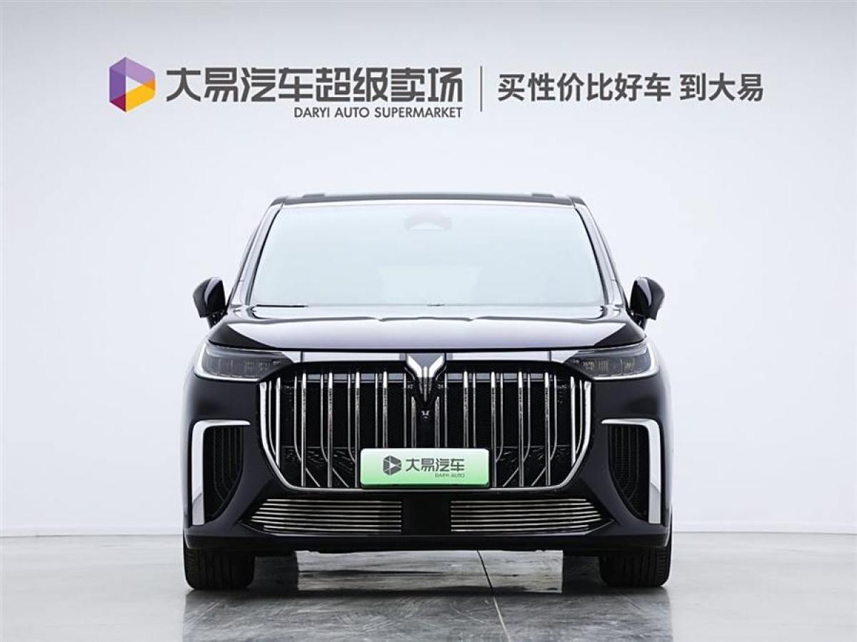 嵐圖 夢(mèng)想家  2024款 PHEV 超長(zhǎng)續(xù)航尊貴版圖片