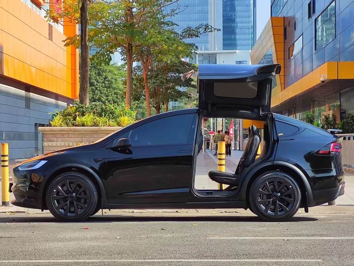 特斯拉 Model X  2023款 雙電機全輪驅(qū)動版圖片