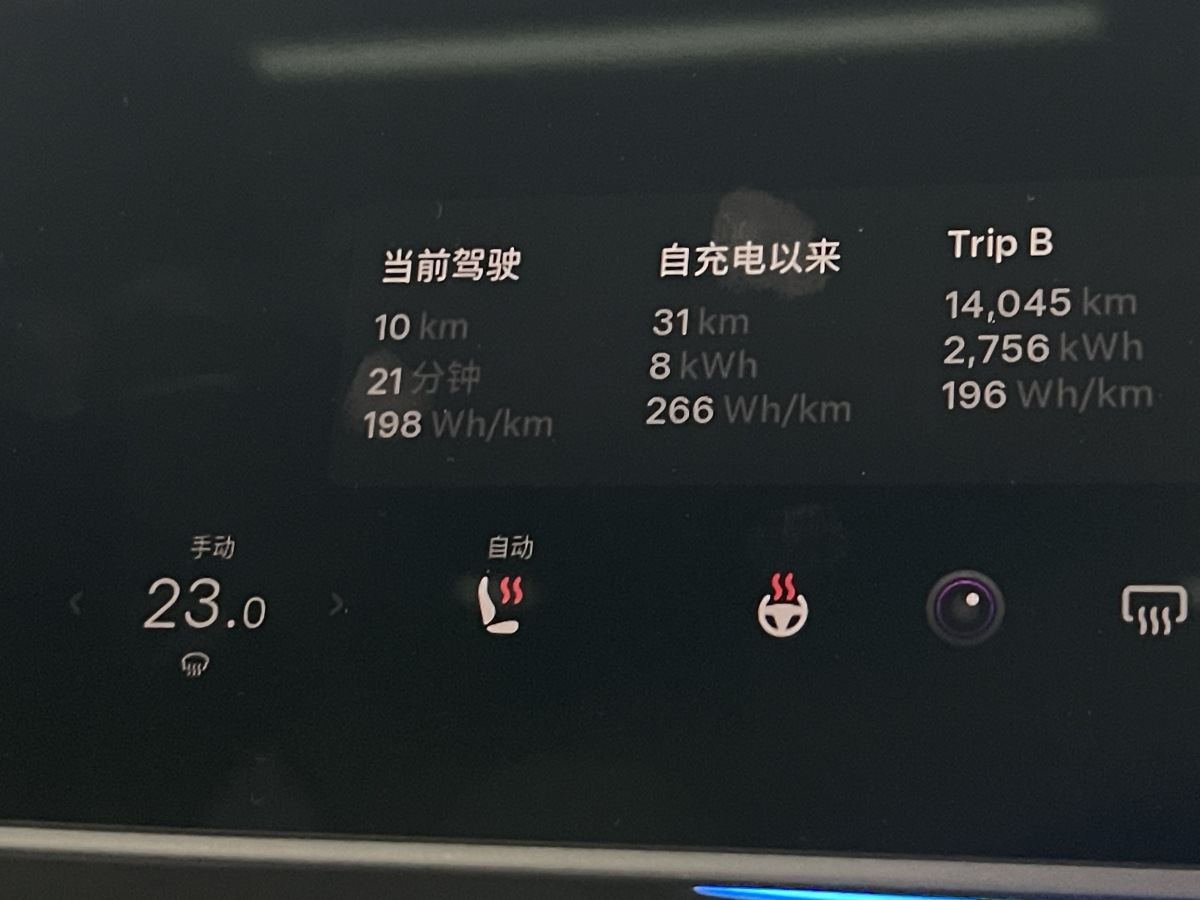 特斯拉 Model 3  2021款 改款 Performance高性能全輪驅(qū)動版圖片