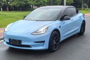 Model 3 特斯拉 改款 標(biāo)準(zhǔn)續(xù)航后驅(qū)升級版