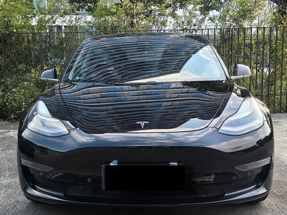 特斯拉 Model 3  2019款 長(zhǎng)續(xù)航后驅(qū)版圖片