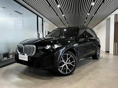 2024年12月 寶馬 寶馬X5 xDrive 30Li 尊享型M運動曜夜套裝圖片