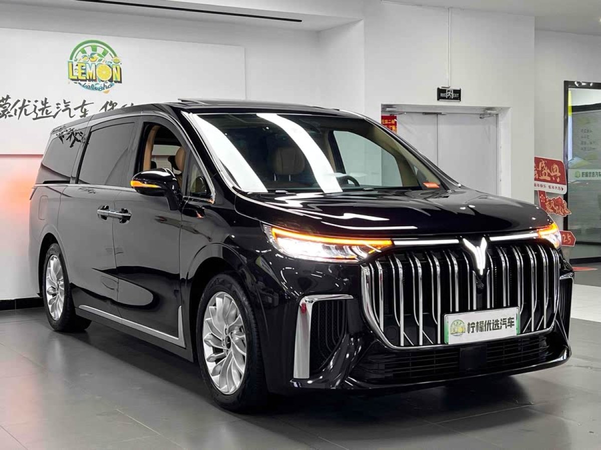 嵐圖 夢想家  2024款 PHEV 超長續(xù)航尊貴版圖片