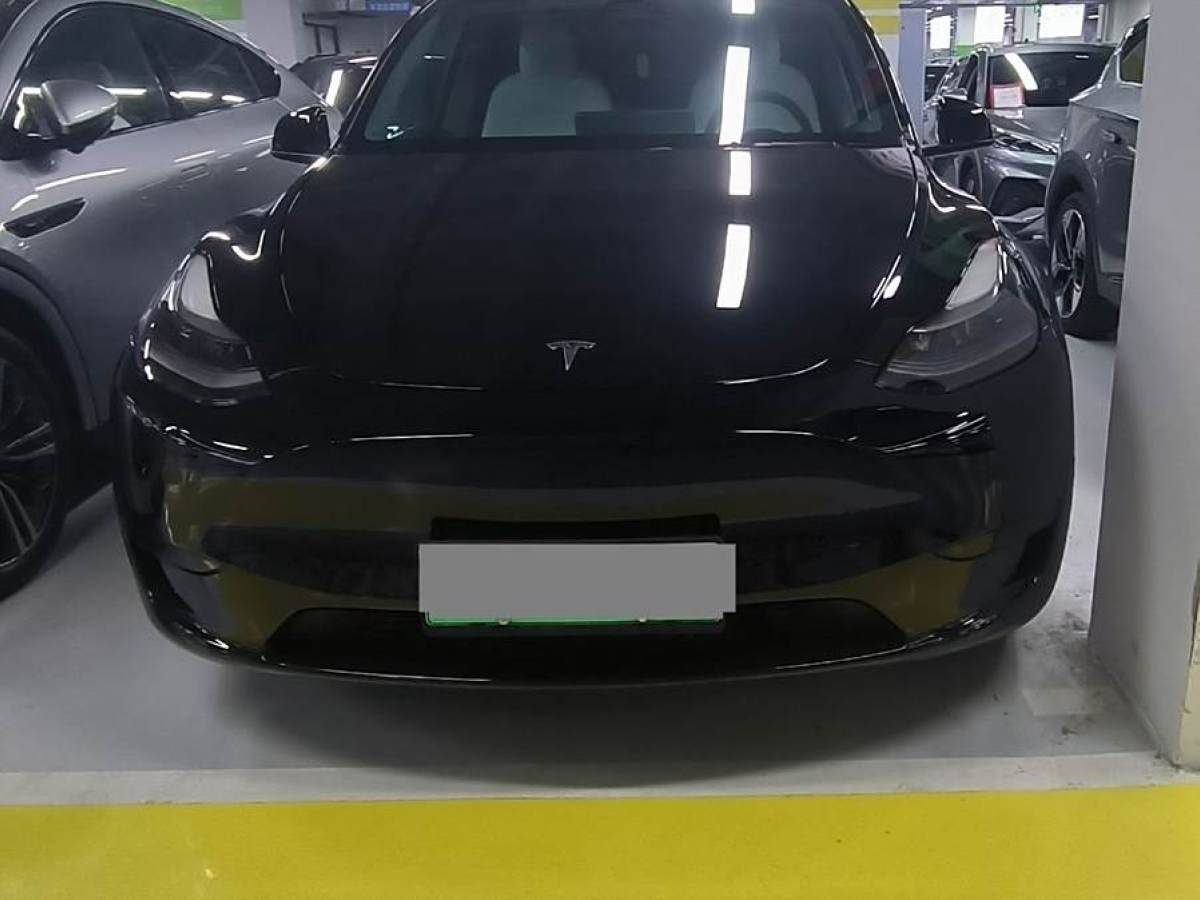 特斯拉 Model 3  2022款 后輪驅(qū)動版圖片