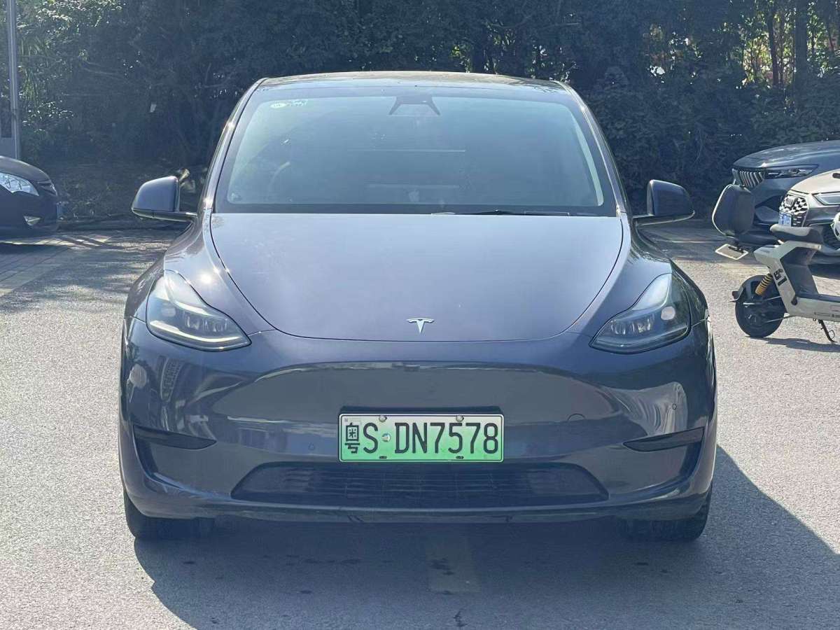 特斯拉 Model 3  2021款 標(biāo)準(zhǔn)續(xù)航后驅(qū)升級(jí)版 3D6圖片