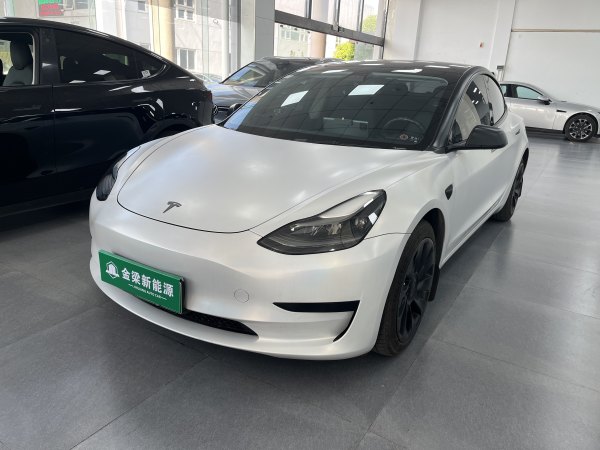 特斯拉 Model 3  2019款 标准续航后驱升级版