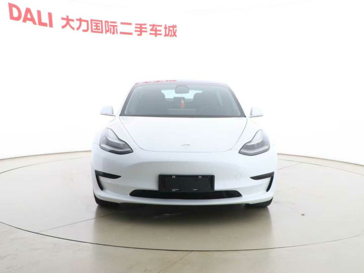 特斯拉 Model 3  2020款 標(biāo)準(zhǔn)續(xù)航后驅(qū)升級版圖片