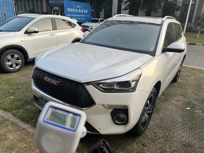 2018年2月 哈弗 H6 Coupe 紅標(biāo) 1.5T 自動(dòng)兩驅(qū)超豪型圖片