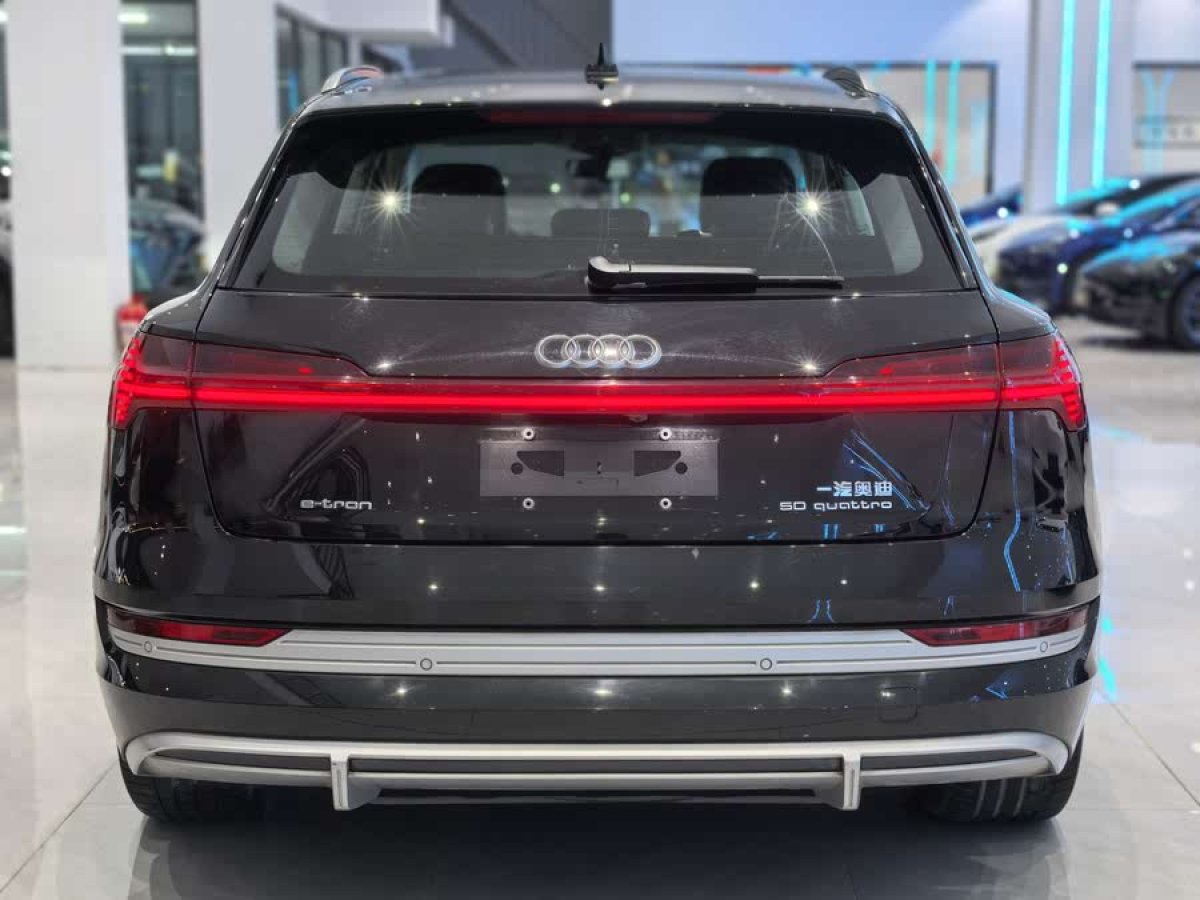 奧迪 奧迪e-tron  2021款 50 quattro 臻選型圖片