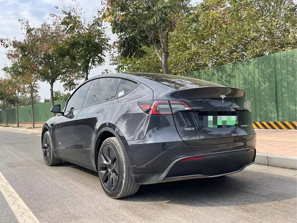 特斯拉 Model Y  2020款 改款 長(zhǎng)續(xù)航后輪驅(qū)動(dòng)版圖片