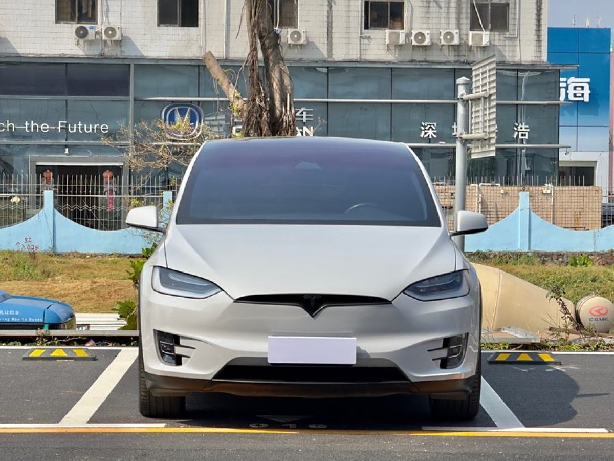 特斯拉 Model X  2019款 長(zhǎng)續(xù)航版圖片