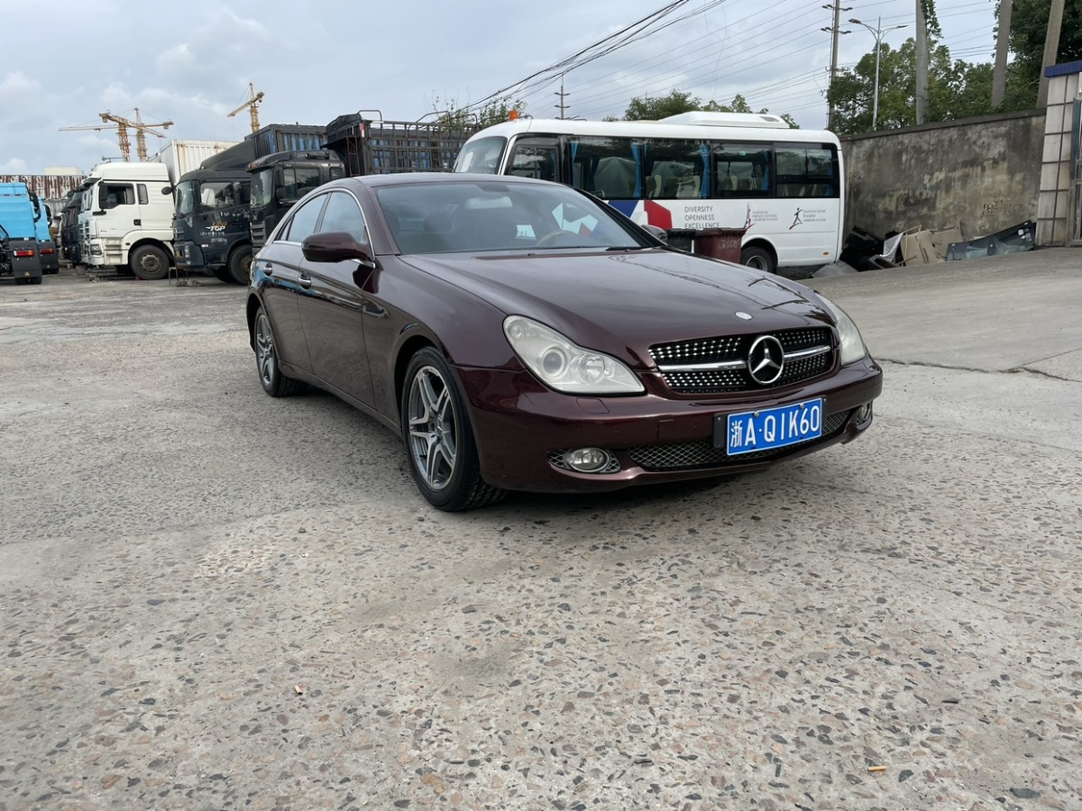 奔馳 奔馳CLS級(jí)  2009款 CLS 300圖片