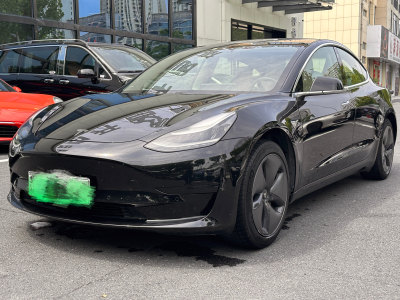 2020年4月 特斯拉 Model 3 标准续航后驱升级版图片