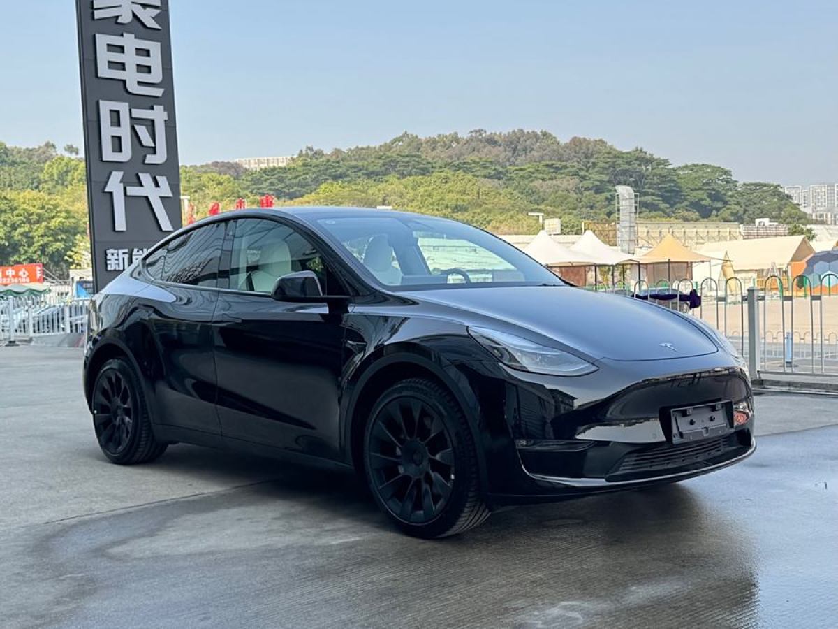 特斯拉 Model 3  2023款 長續(xù)航煥新版 雙電機(jī)全輪驅(qū)動圖片