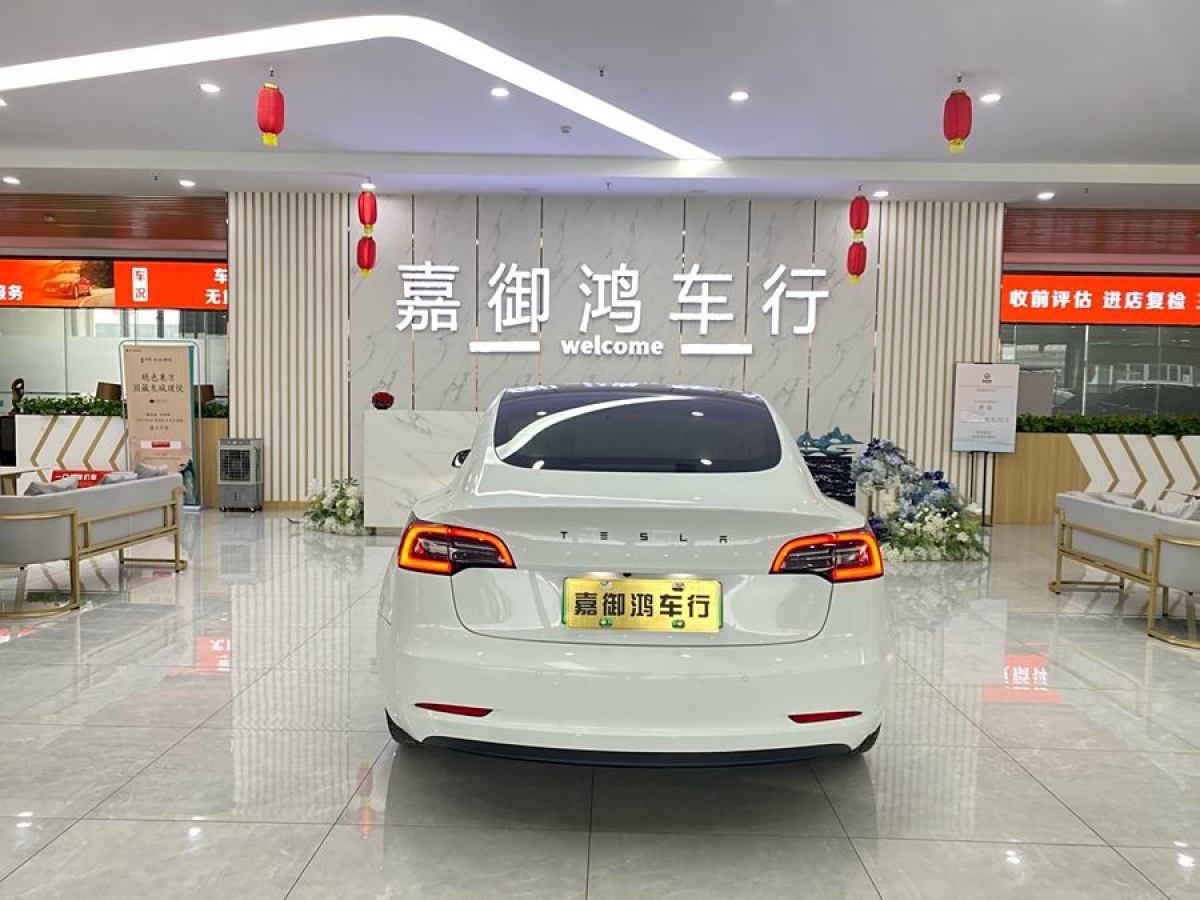 特斯拉 Model 3  2019款 標(biāo)準(zhǔn)續(xù)航后驅(qū)升級版圖片