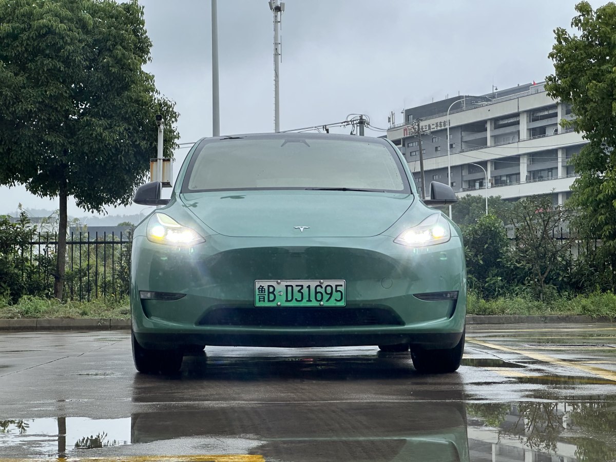 2022年1月特斯拉 Model Y  2021款 改款 標準續(xù)航后驅(qū)升級版