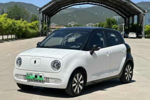 歐拉白貓 歐拉 305km 公務(wù)版