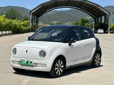 2020年1月 歐拉 歐拉白貓 305km 公務(wù)版圖片