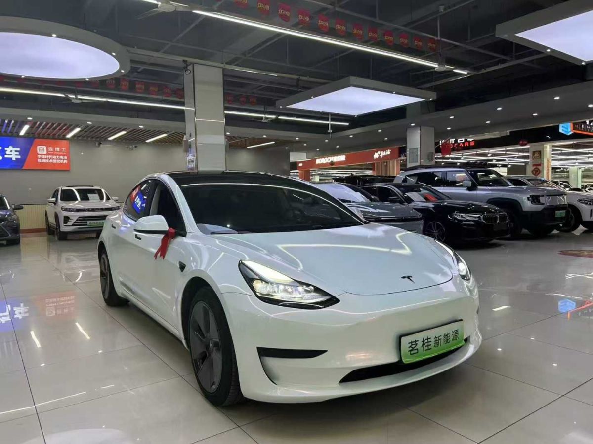 特斯拉 Model Y  2022款 Performance高性能全輪驅(qū)動(dòng)版圖片