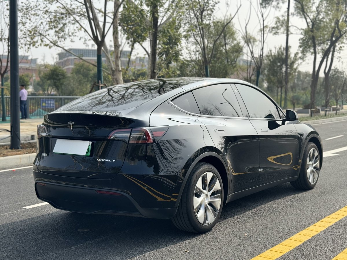 2023年8月特斯拉 Model Y  2020款 改款 長續(xù)航后輪驅動版