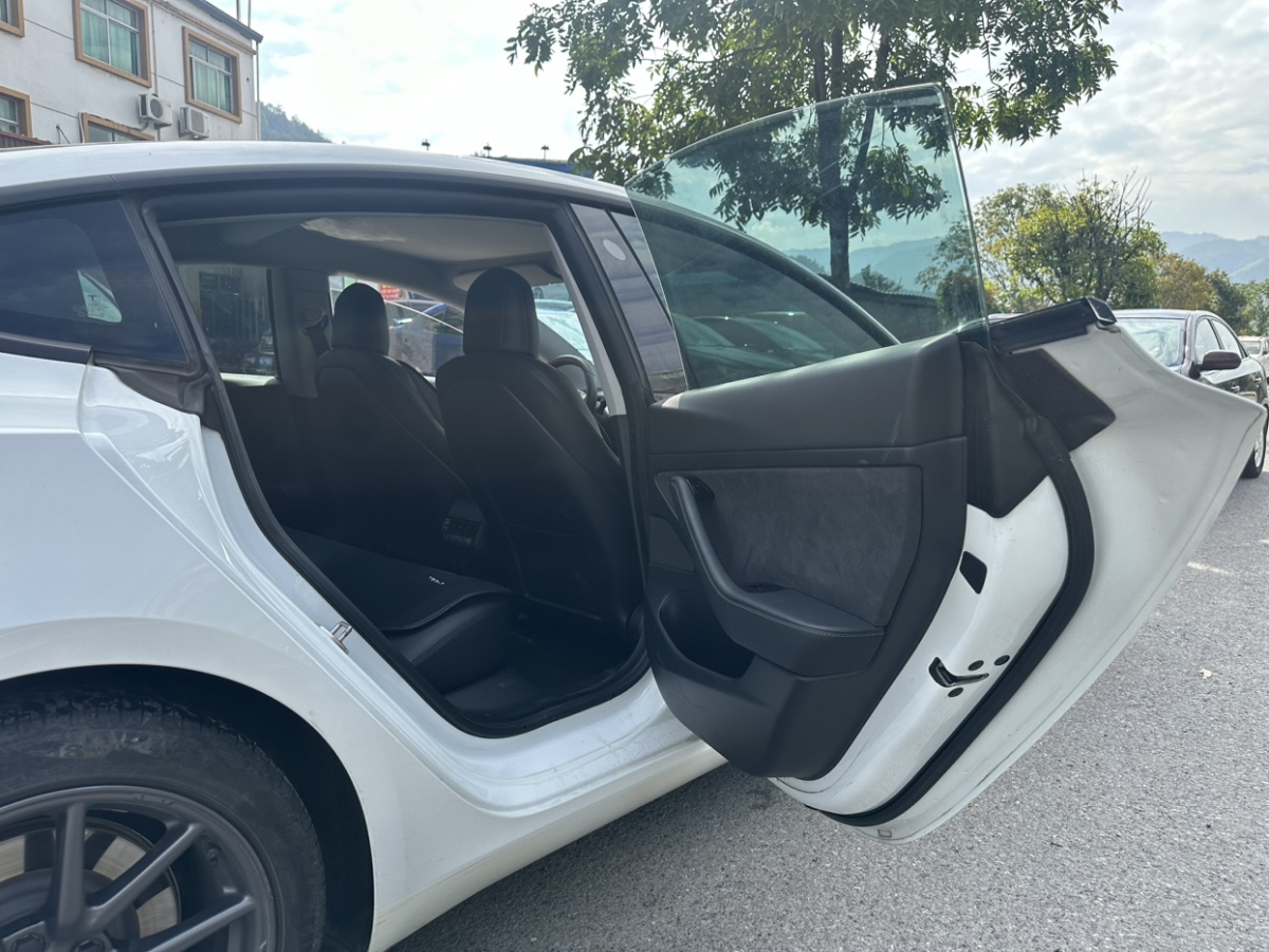 特斯拉 Model 3  2019款 標準續(xù)航后驅(qū)升級版圖片