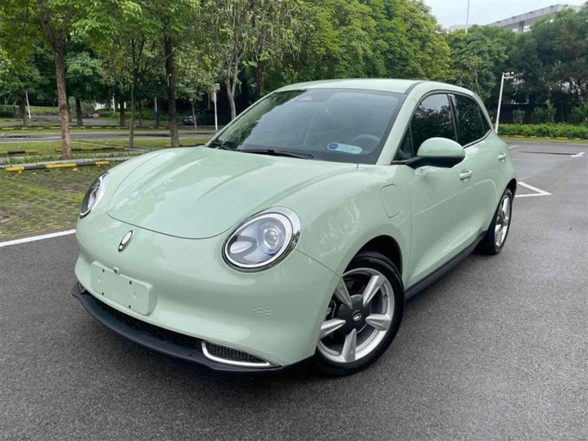 歐拉 歐拉好貓  2023款 401km標準續(xù)航 豪華型 磷酸鐵鋰圖片