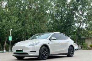 Model Y 特斯拉 Performance高性能全輪驅(qū)動版