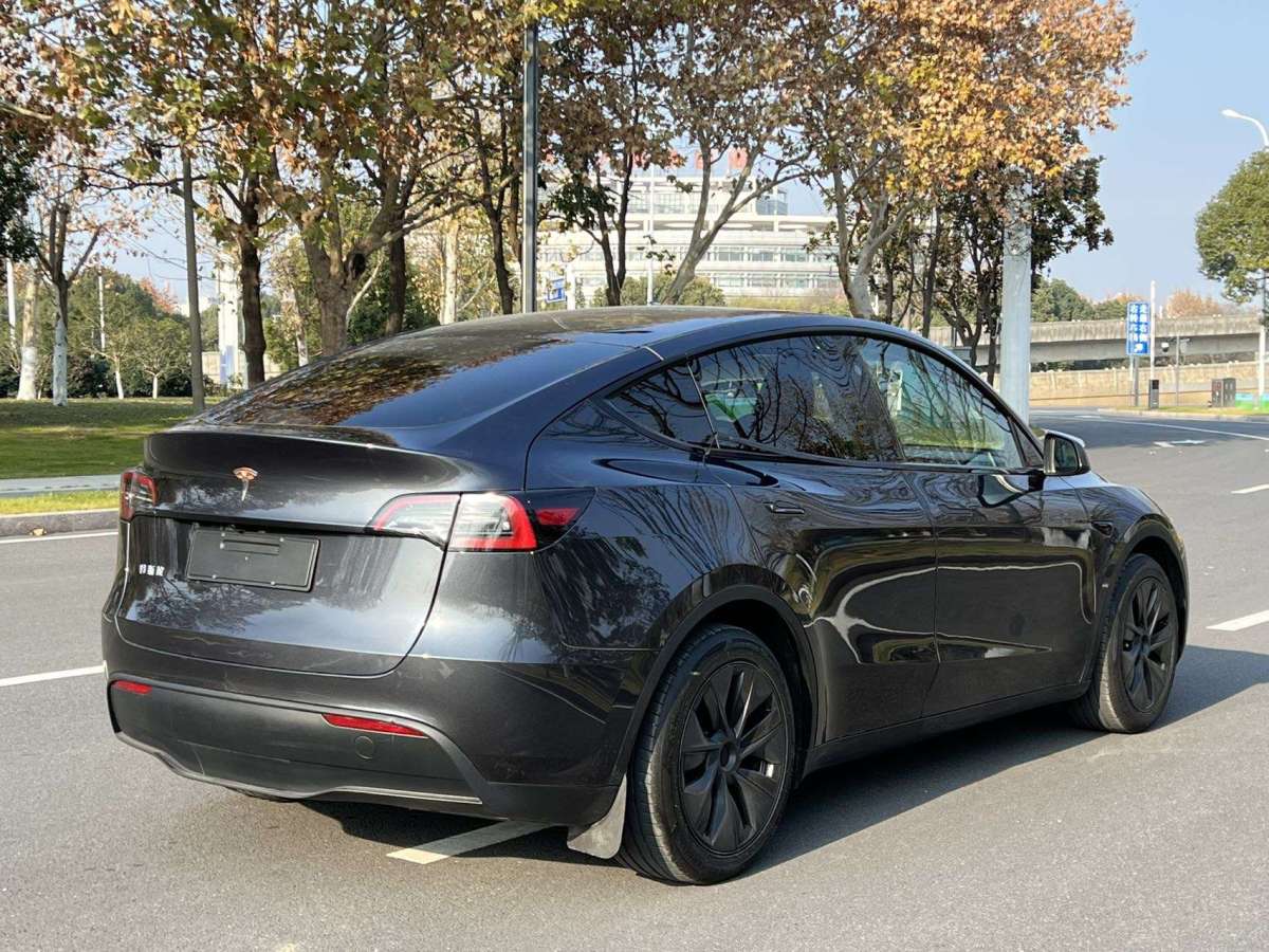 特斯拉 Model Y  2024款 長續(xù)航全輪驅(qū)動版圖片