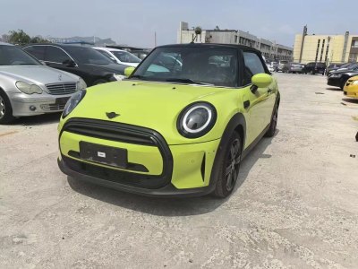 2023年1月 MINI MINI 1.5T COOPER CABRIO 艺术家图片