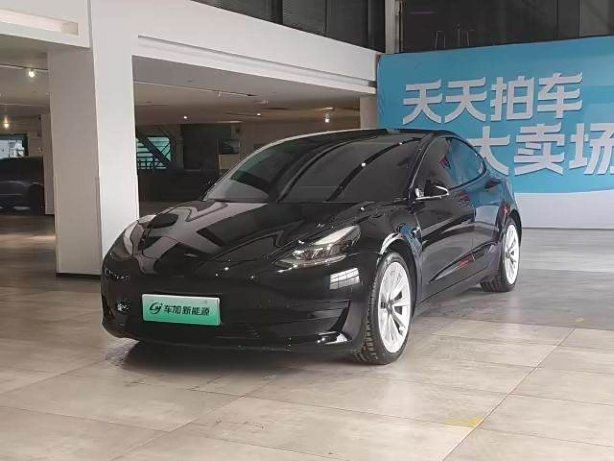 2021年5月特斯拉 Model 3  2021款 改款 標準續(xù)航后驅(qū)升級版