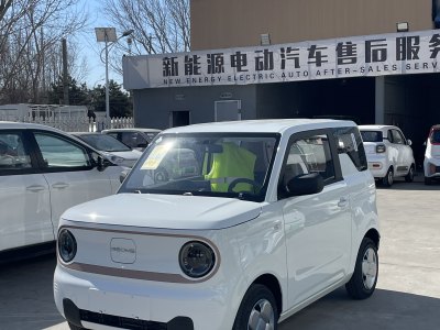 2025年3月 吉利 熊貓mini 200km 耐力熊圖片