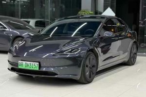Model Y 特斯拉 Performance高性能版